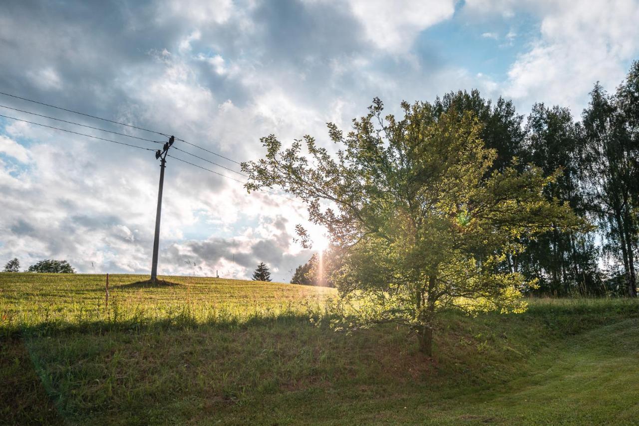 Apartman Odolov Jestřebí hory Male Svatonovice Exterior foto